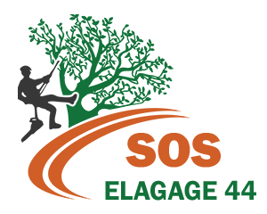 elagage-sos-elagage